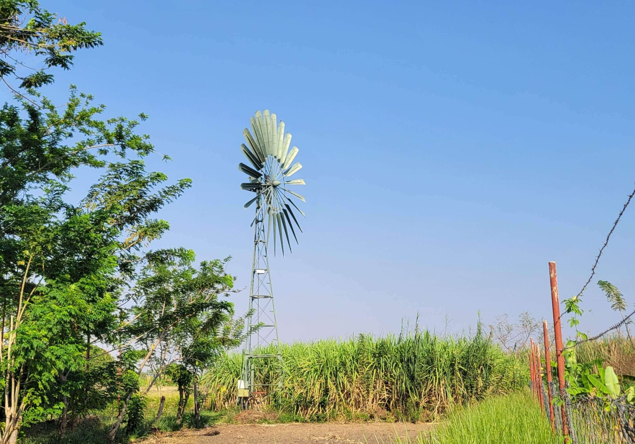 Windmill
